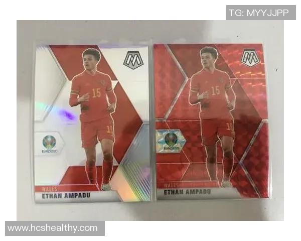 帕尼尼欧联足球球星卡收藏新纪元 揭开珍贵卡片背后的故事与价值